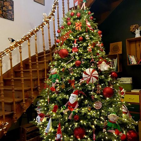 Sojolidays - Appartements D'Hotes Sur La Route Des Vins D'Alsace Rorschwihr المظهر الخارجي الصورة