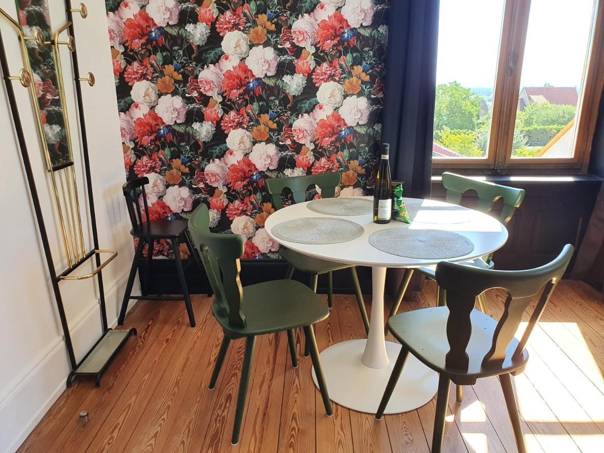 Sojolidays - Appartements D'Hotes Sur La Route Des Vins D'Alsace Rorschwihr المظهر الخارجي الصورة
