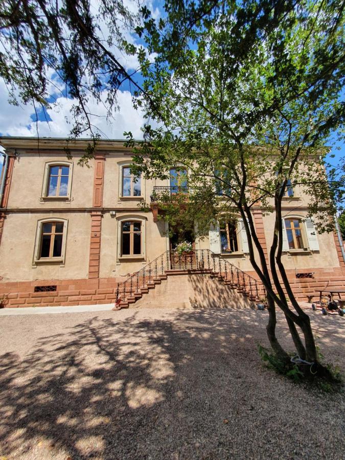 Sojolidays - Appartements D'Hotes Sur La Route Des Vins D'Alsace Rorschwihr المظهر الخارجي الصورة