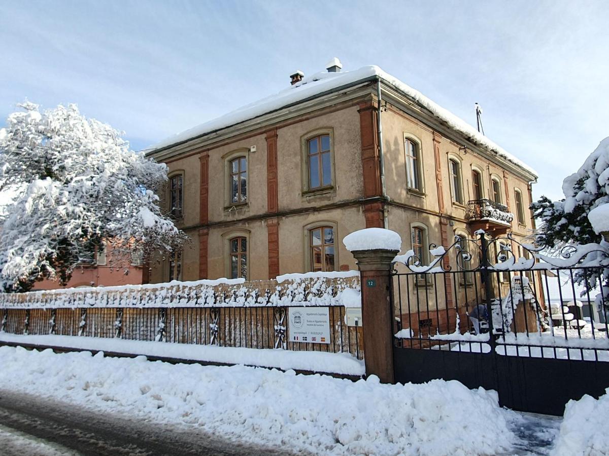 Sojolidays - Appartements D'Hotes Sur La Route Des Vins D'Alsace Rorschwihr المظهر الخارجي الصورة